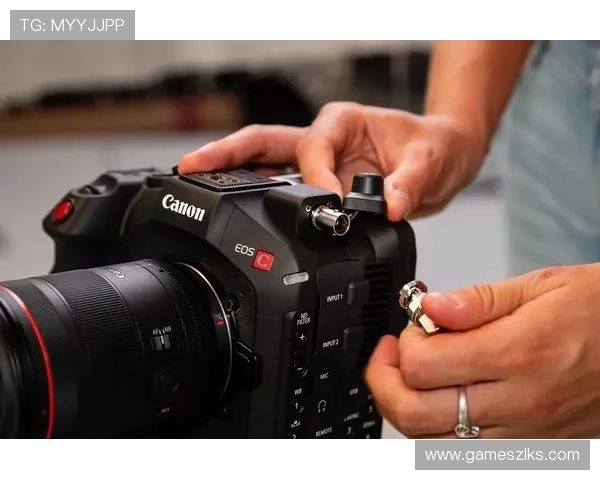 揭秘Z6尊龙正规网址的在线支付安全与有效性