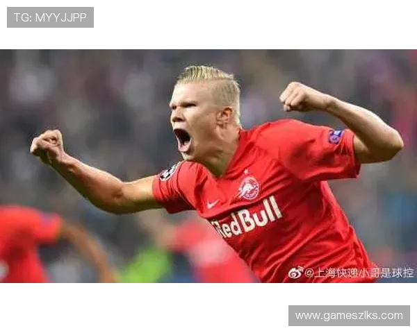 尊龙z6.com注册遇到问题怎么办详细解决方案推荐